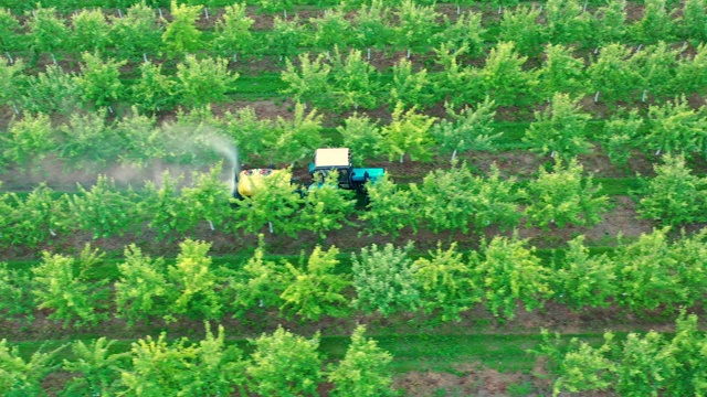 拖拉机在花园里用喷雾器喷洒苹果树除草剂和杀虫剂视频素材