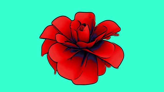红色的花动画视频下载