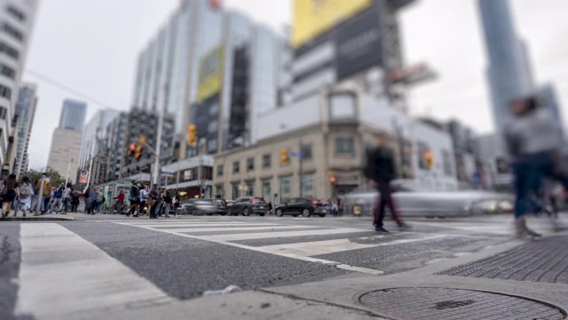 多伦多市中心登达斯广场附近的十字路口人行横道的时间流逝视频素材