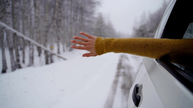 寒假，b卷，女人的手视频下载