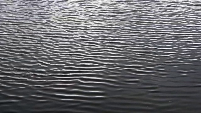 水面上的波纹与水的背景形成鲜明的对比视频下载