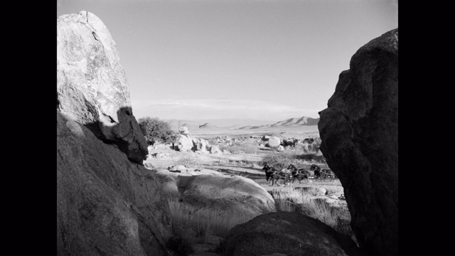 宽阔的男人在沙漠，尤马，亚利桑那州，美国公共马车视频素材