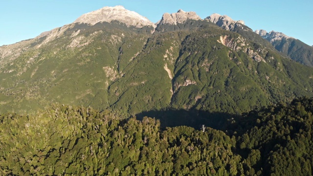 智利巴塔哥尼亚的山脉和森林视频素材