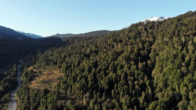 智利巴塔哥尼亚的山脉和森林视频素材
