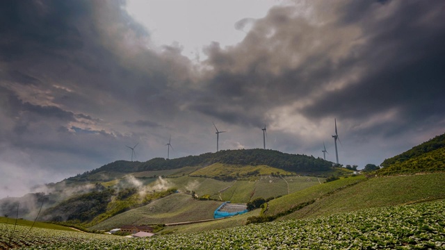 韩国江原道大白溪Gwinemi村的风力涡轮机和卷心菜田视频下载