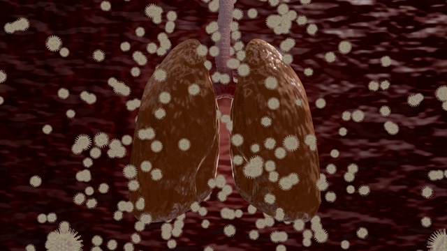 covid -19病毒扩散到肺部。三维动画视频下载