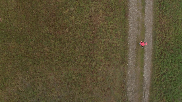 4k鸟瞰图，从上往下跟着一个女人沿着草地上的小路慢跑视频下载