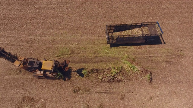甘蔗农场有机器种植，鸟瞰图视频素材