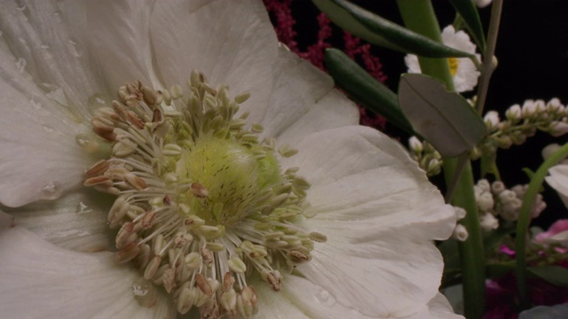 多莉微距拍摄美丽的鲜花花束特写。视频素材