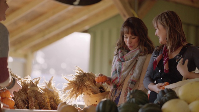 秋日，一群女性朋友在农贸市场购买农产品视频素材