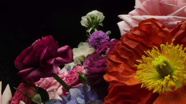 多莉微距拍摄美丽盛开的毛茛花束特写。视频素材