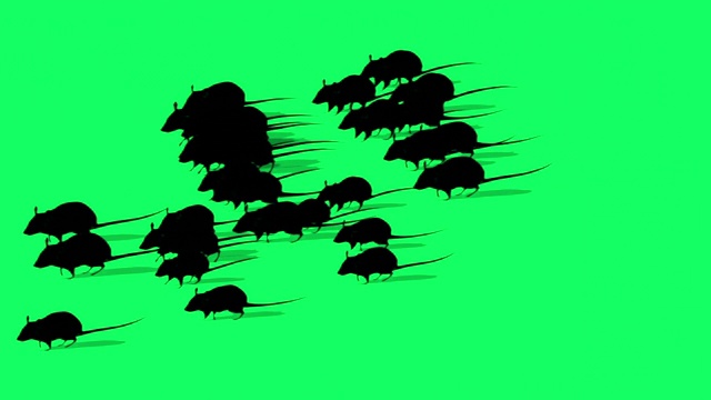绿色屏幕上老鼠剪影的动画视频素材