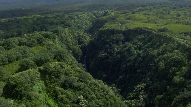 鸟瞰图热带雨林山谷与夏威夷群岛毛伊岛的瀑布。视频素材