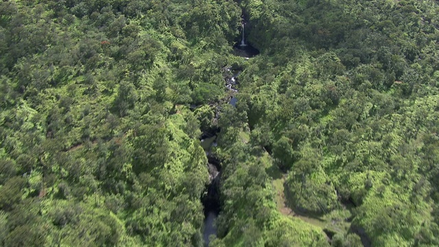 鸟瞰图的河流流经热带雨林与多个瀑布毛伊岛在夏威夷。视频素材