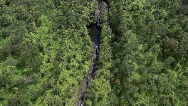 鸟瞰图的热带雨林在库劳森林保护区的多个瀑布，毛伊岛，夏威夷群岛。视频素材