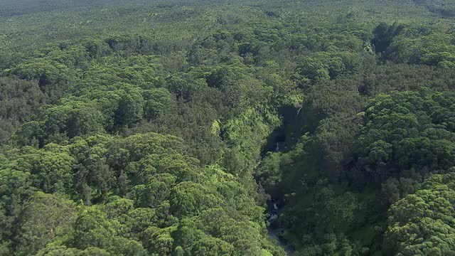 鸟瞰图的河流和多个瀑布流经热带雨林毛伊岛在夏威夷群岛。视频素材