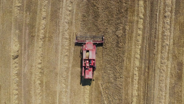 农用收割机在农村田野上空采集成熟的小麦穗视频下载