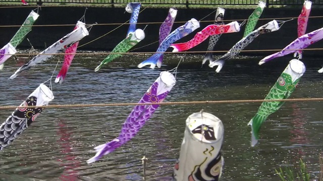 日本群马县河上数以千计的“Koinobori”视频素材