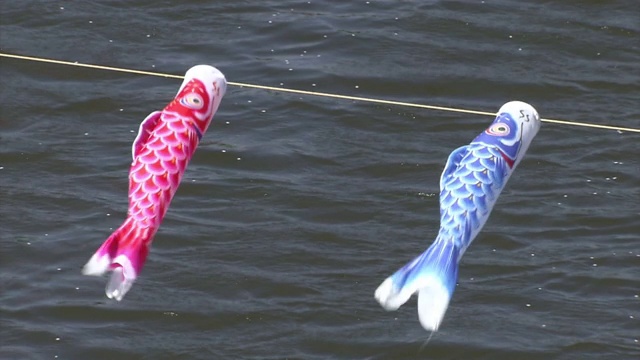 日本群马河上的两个“Koinobori”视频素材
