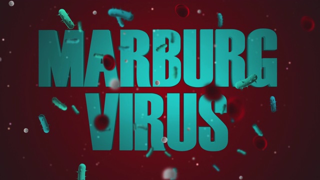 马尔堡病毒4K / 60fps视频视频素材
