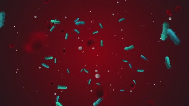 病毒细胞背景视频(Covid-19) 4K / 60fps视频视频素材