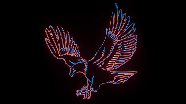 展翅鹰的霓虹动画。野鸟在黑色背景的2d动画。独立，自由，骄傲，野生动物。视频下载