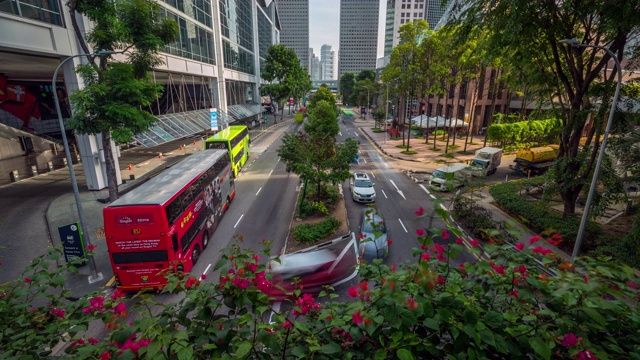 时间流逝的新加坡交通城市。街道周围有交通标志、灯和树。视频素材