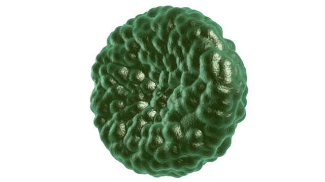 绿色疾病血细胞在白色上旋转。3d渲染高清镜头。视频下载