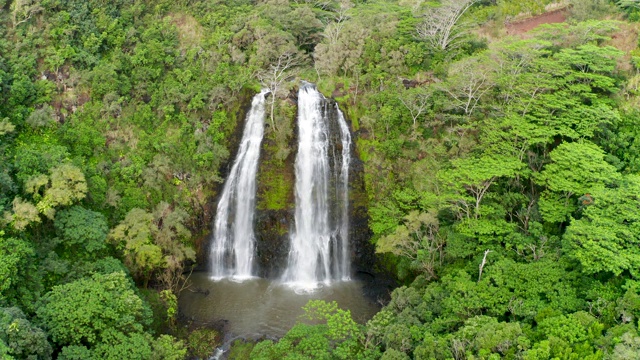 夏威夷热带森林中的三个瀑布视频下载