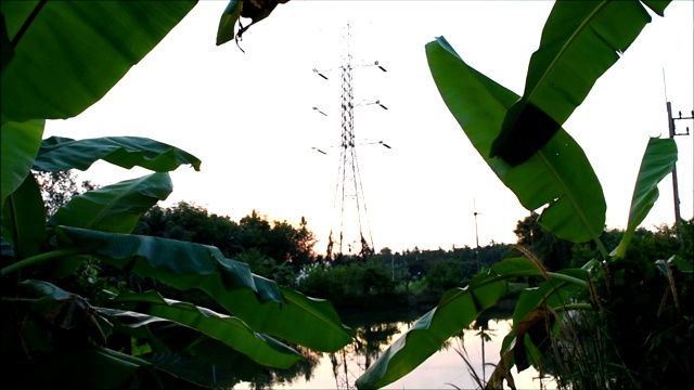 日落时分，河边绿林上的电线杆视频下载