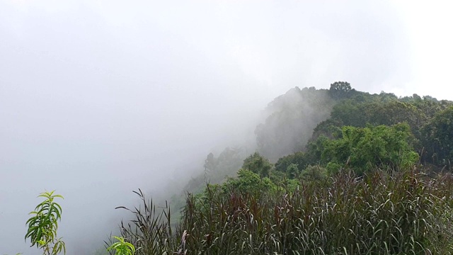 风景山景的雾雾覆盖的山视频下载
