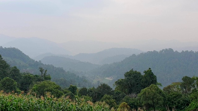 美丽的风景，在泰国的早晨山顶视频下载