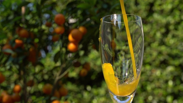 将橙汁倒入玻璃杯中视频素材