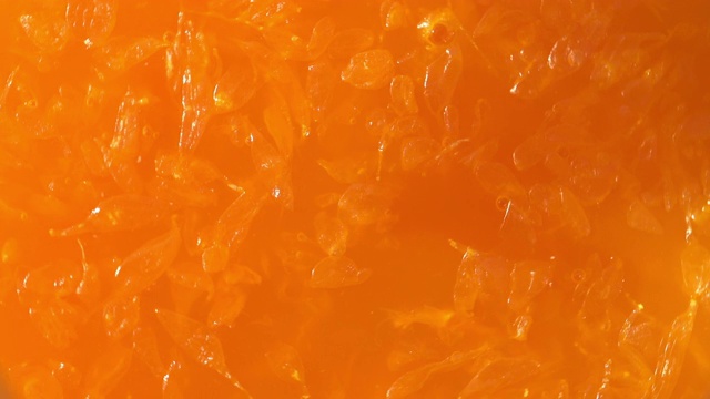 Fresh sweet orange rotating视频素材