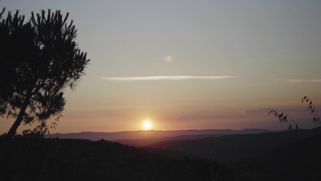 日落时天空中树木的剪影视频下载