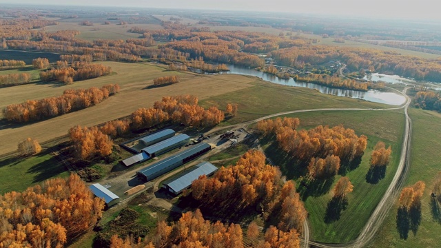 鸟瞰图的农场在一个村庄周围的秋天森林，收获，机库视频下载