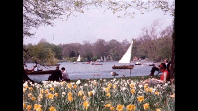 伦敦公园在春天的湖和孩子喂鸭子;1958视频下载