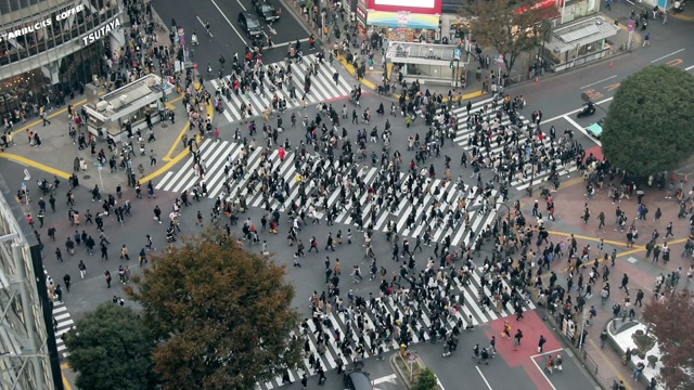 WSs People在涩谷路口，东京视频下载