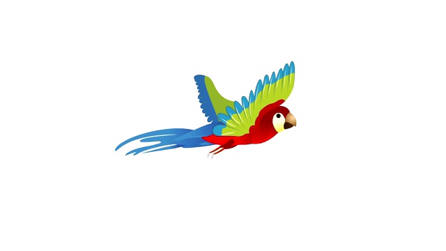 鹦鹉飞行循环动画视频下载