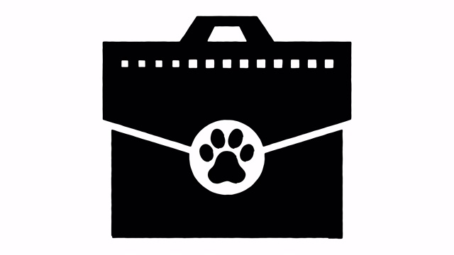 宠物保险线绘制和墨水喷溅动画与阿尔法视频下载