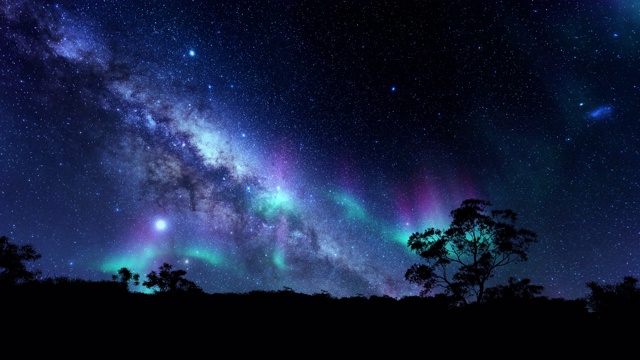 树木的剪影映衬着神奇的北极光和繁星点点的天空，4K视频下载