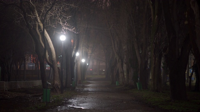 夜晚的城市景象，空旷黑暗的小巷，在一个秋天的夜晚，城市公园的灯笼照亮。视频素材