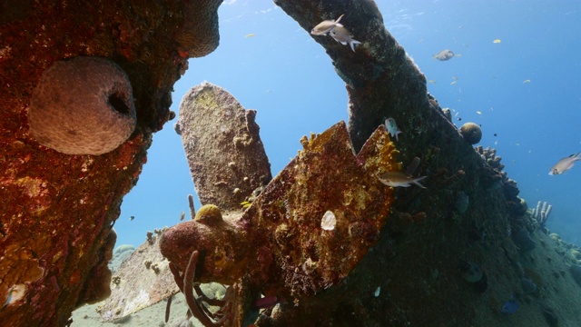 船的残骸“黑沙残骸”在加勒比海的珊瑚礁附近库拉索岛视频素材