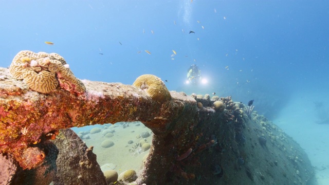 在库拉索岛附近的加勒比海珊瑚礁中，潜水员和船只的残骸“黑沙沉船”视频素材
