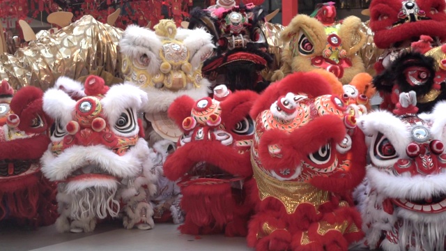 一群中国狮子在农历新年庆祝活动中表演。视频下载