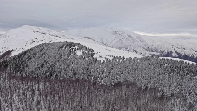 从山顶鸟瞰冬天美丽的风景。股票视频视频素材