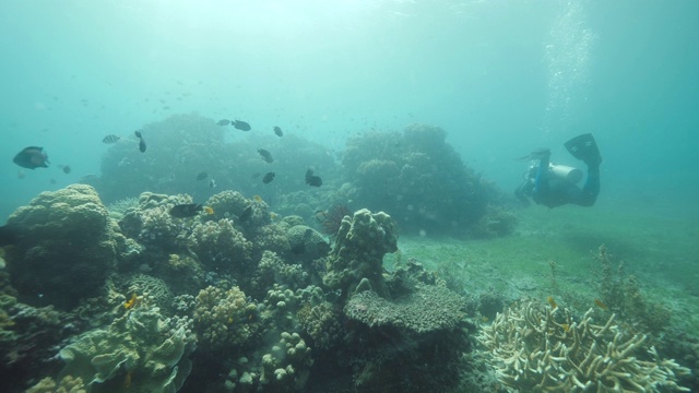 潜水员在热带海洋中游泳，那里有丰富的珊瑚和鱼类。视频素材
