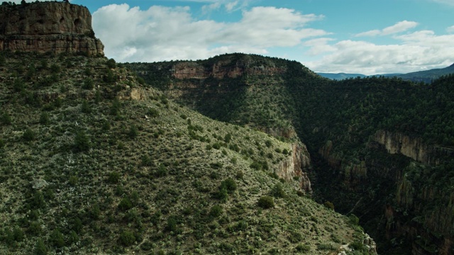 树覆盖的山丘和悬崖在盐河峡谷-无人机拍摄视频下载