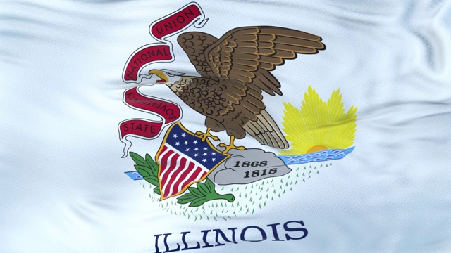 伊利诺斯州(美国)的旗帜在风中飘扬，有着非常详细的织物纹理。无缝循环视频下载