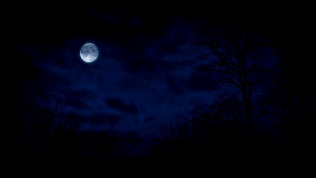 幽灵般的夜景与月亮越过森林视频素材